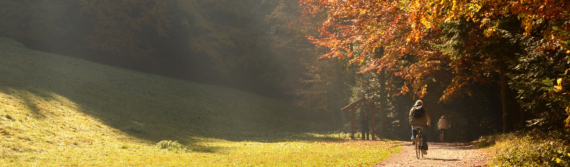 Herbst_Mood_D