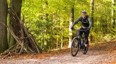 E-Bike Fully E-Bike Fully