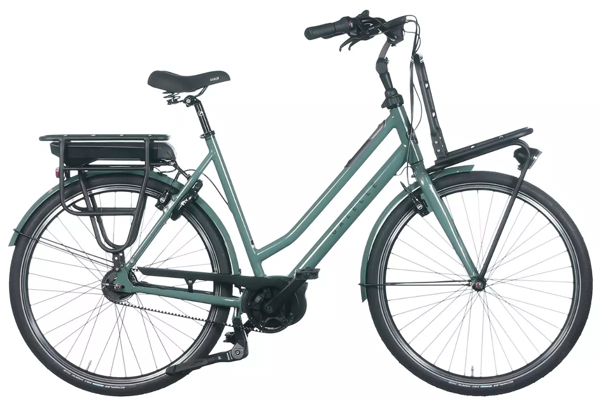 Holland E-Bike Damen