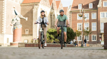 City E-Bike City E-Bike