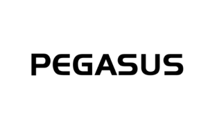 9 9