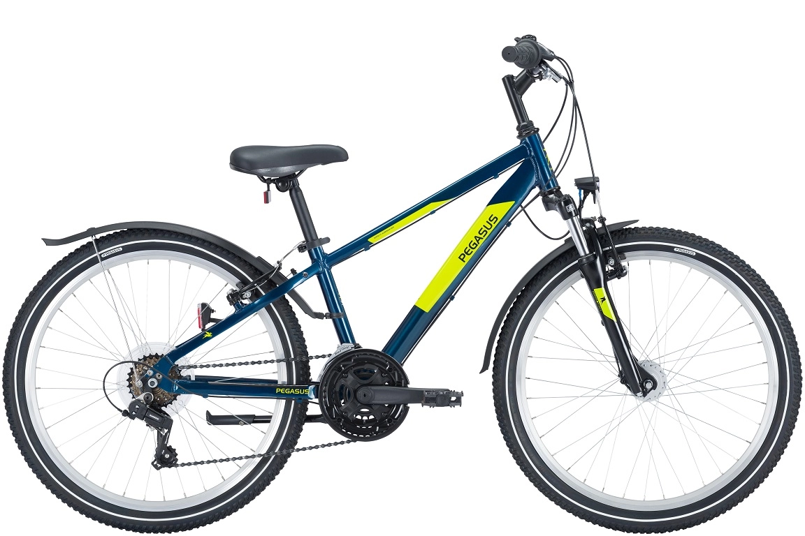 Pegasus Avanti-Sport 24'' 18-Gang Jungen Dirt blau 2024