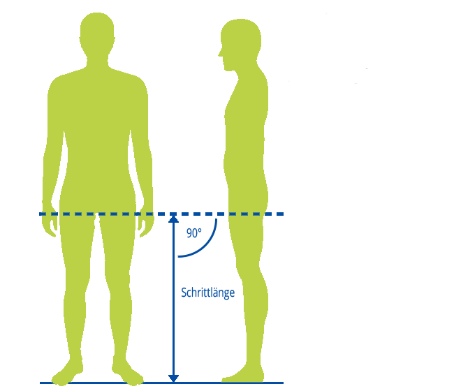 Grafik zum Rahmenhöhenrechner