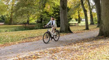 E-Bikes E-Bikes