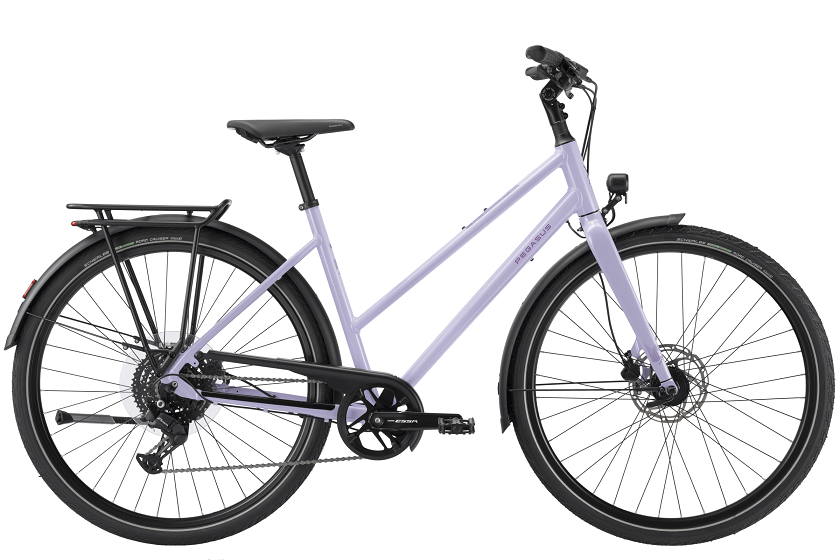 Pegasus Codo SL 8 Damen Trapez lila 2027