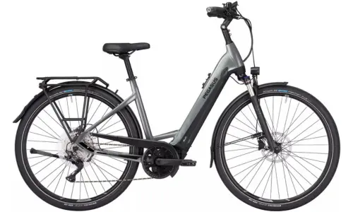 E-Bike Trekking Damen