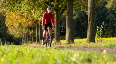 Gravel Bikes