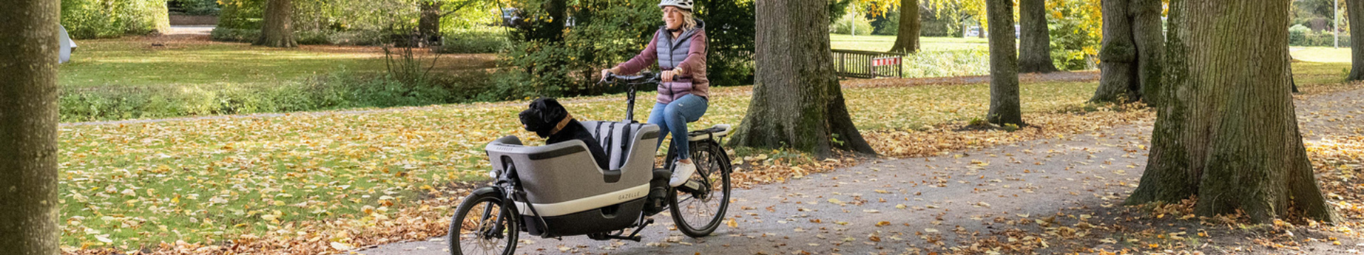 E-Lastenrad E-Lastenrad