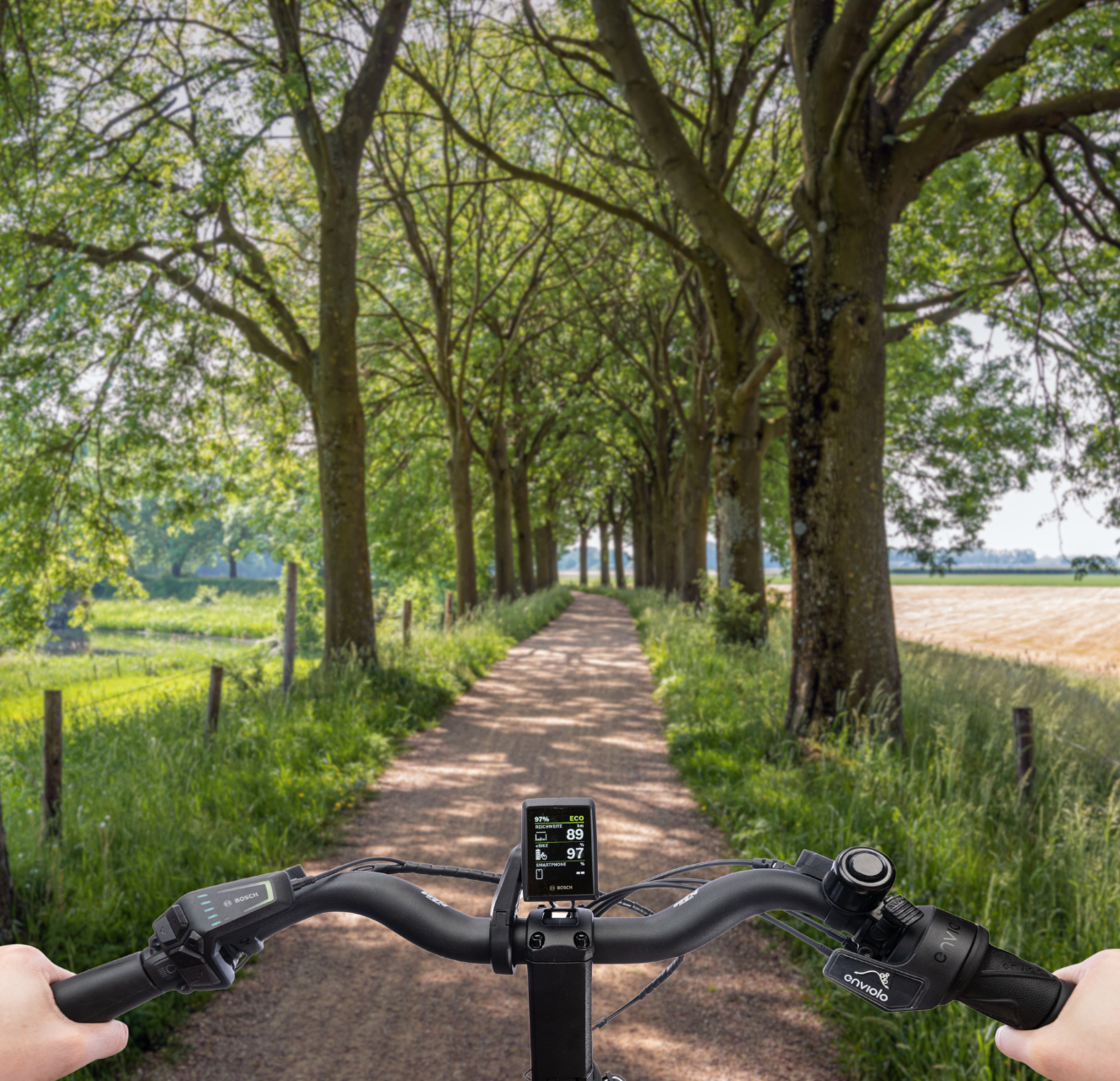Radwelt-shop - Bike-Deal des Monats 🔥