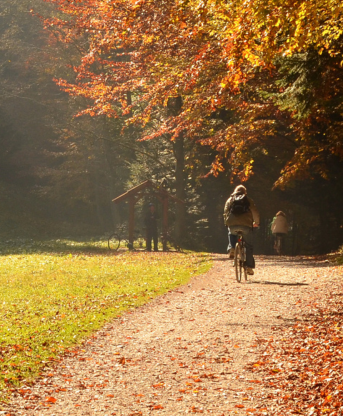 Herbst_Mood_M