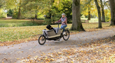E-Lastenrad E-Lastenrad