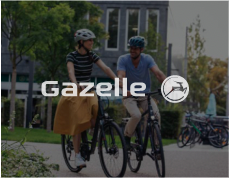 Hersteller-Teaser-Gazelle Hersteller-Teaser-Gazelle
