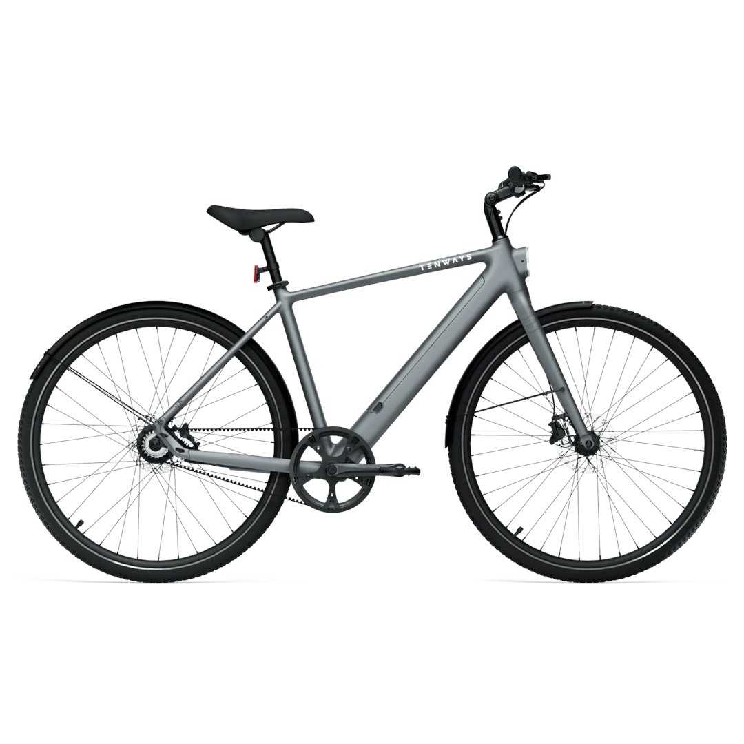 E-Bike Tenways CGO600 Pro 360 Wh Herren grau 2025 58 cm