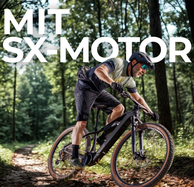 SX_Motor_Kategorie