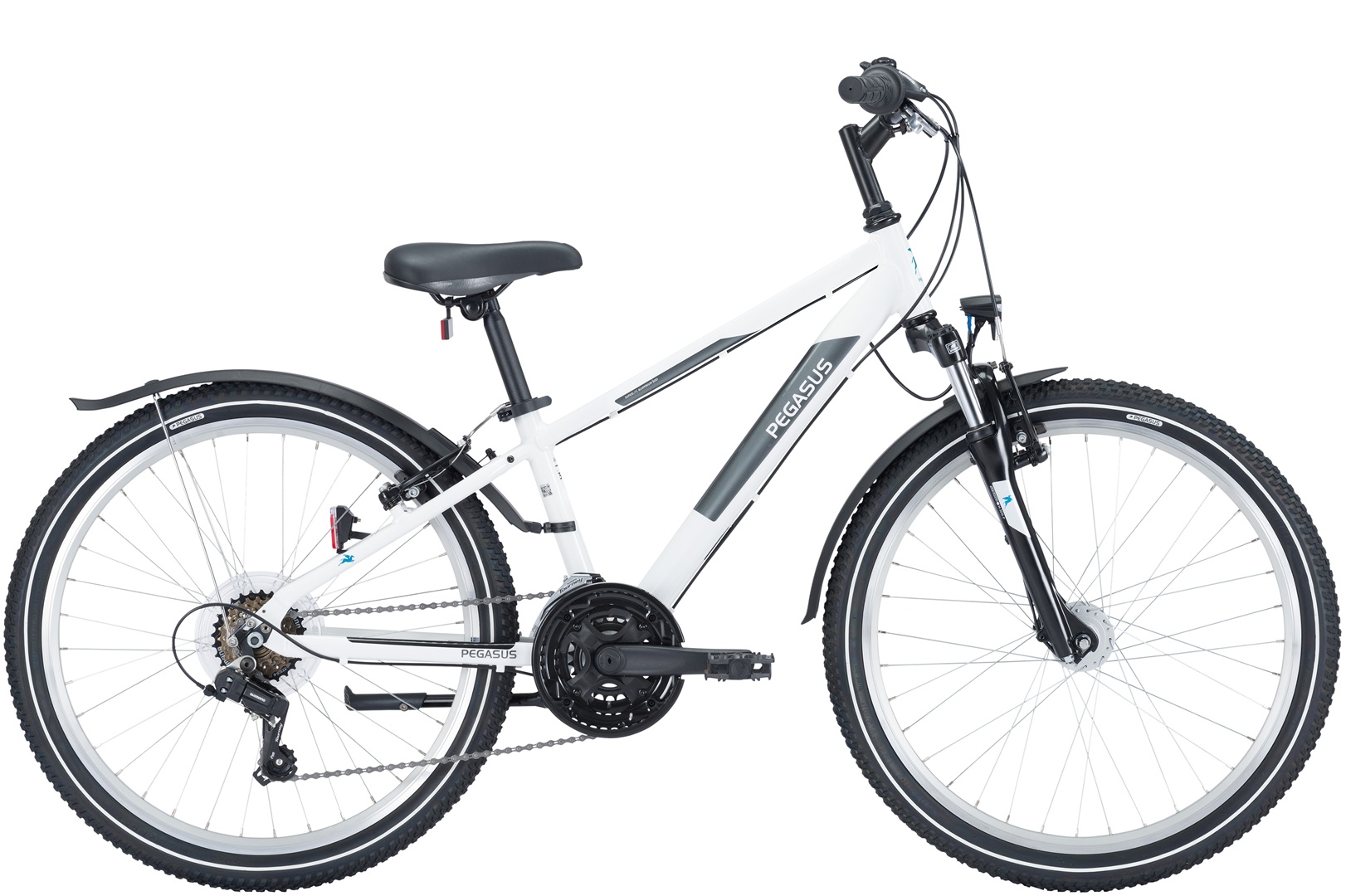 Fahrrad Pegasus Avanti-Sport 24'' 18-Gang Jungen Dirt weiß 2024 32 cm