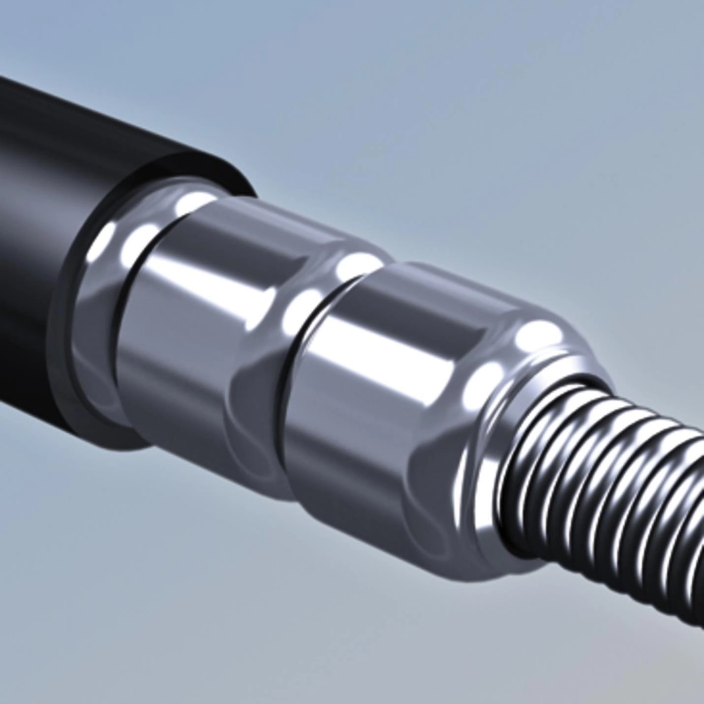 3241-3.JPG 3241-3.JPG