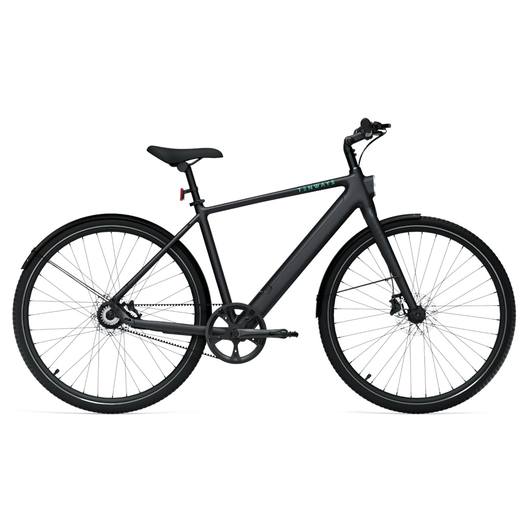 E-Bikes: Tenways  CGO600 Pro 360 Wh Herren  2025