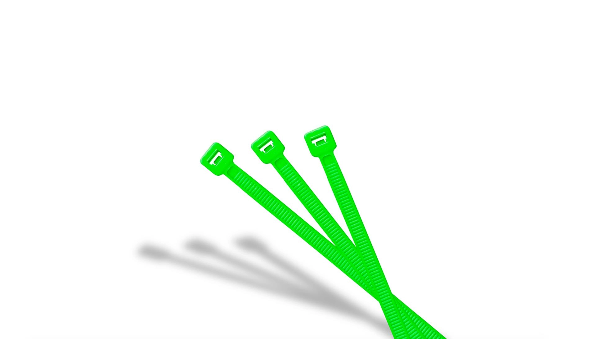 5956-1.JPG