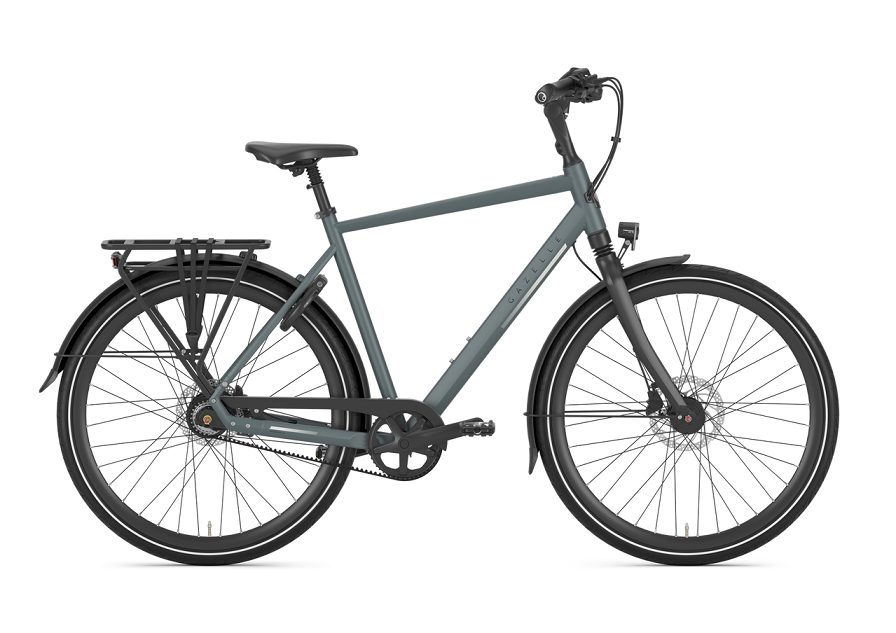 Gazelle Chamonix S8 Herren Grün 2026