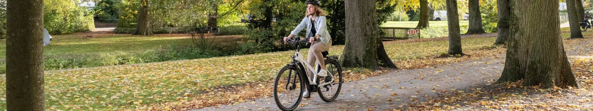 E-Bikes E-Bikes