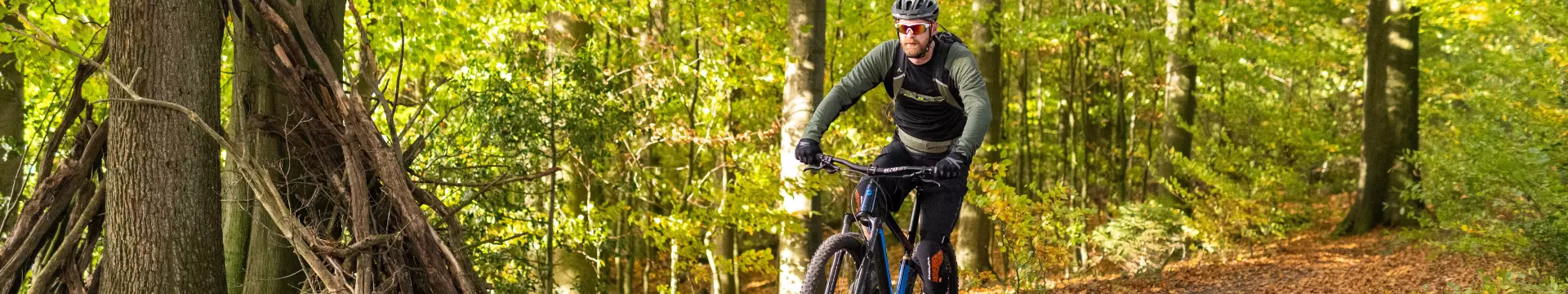 E-Bike Fully E-Bike Fully