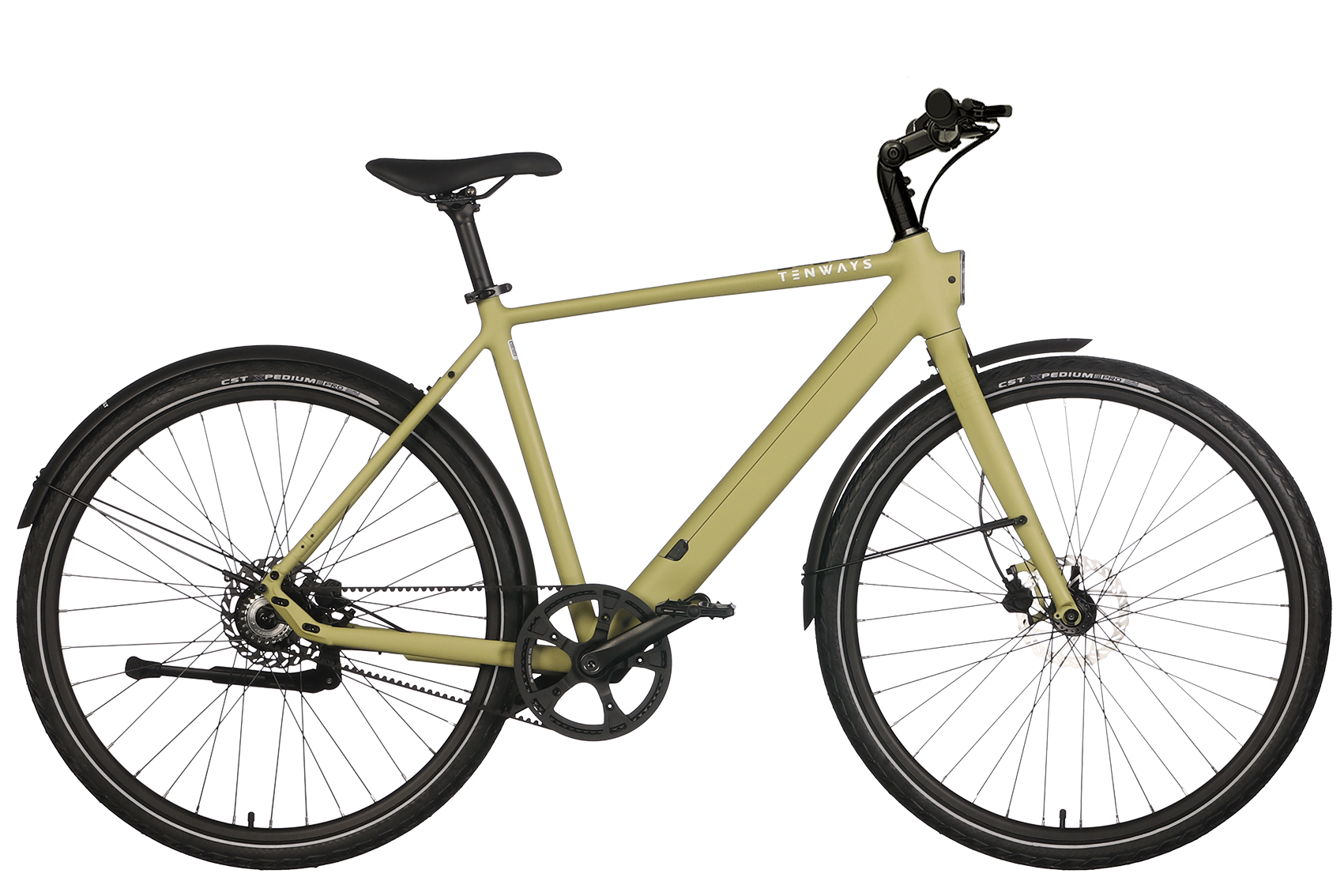 E-Bike Tenways CGO600Pro 360Wh Herren grün 2024 50 cm