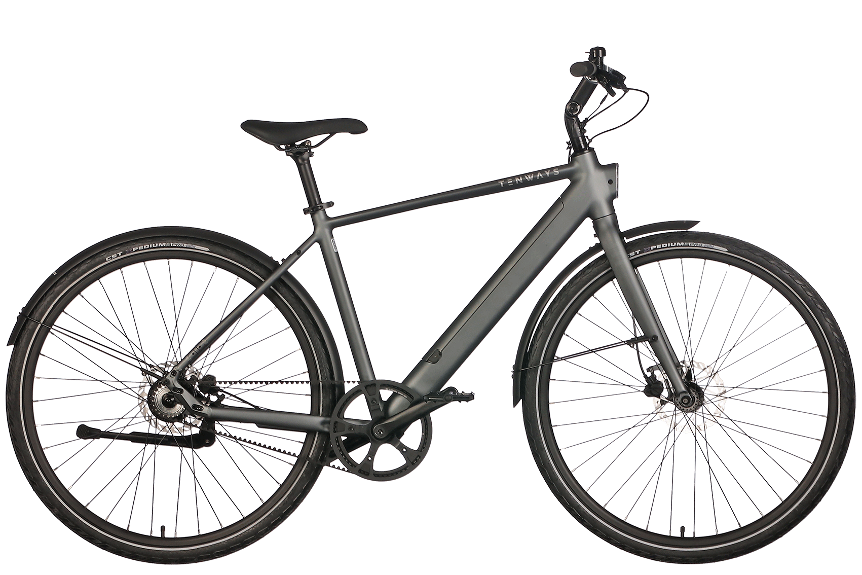 E-Bike Tenways CGO600Pro 360Wh Herren grau 2024 58 cm